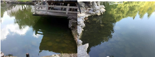 【河道整治 】電鍍廢水整治計劃方案略談