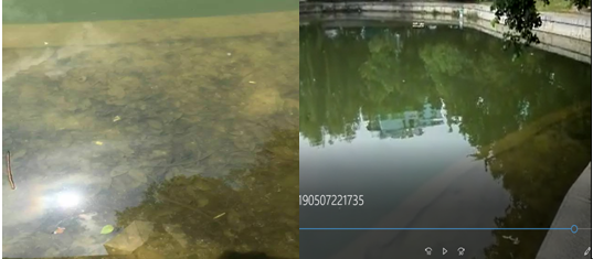 【河道整治 】電鍍廢水整治計劃方案略談