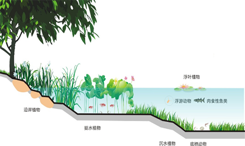 【黑臭水體治理】造紙廢水解決詳細(xì)說明及調(diào)節(jié)運(yùn)作關(guān)鍵點(diǎn)